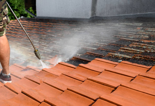 Best Deck Cleaning Services  in Cochituate, MA